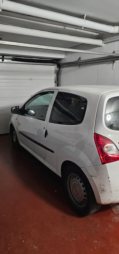 Furgoneta Renault Twingo Industrial